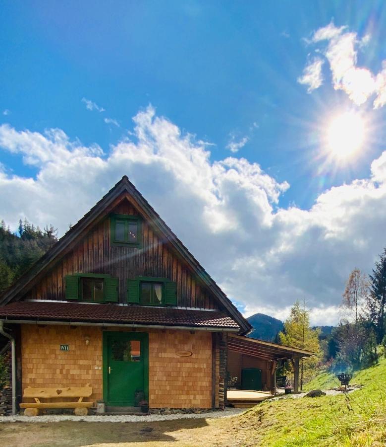 Zirbitz Huette Mit Sauna Und Kamin Holiday home