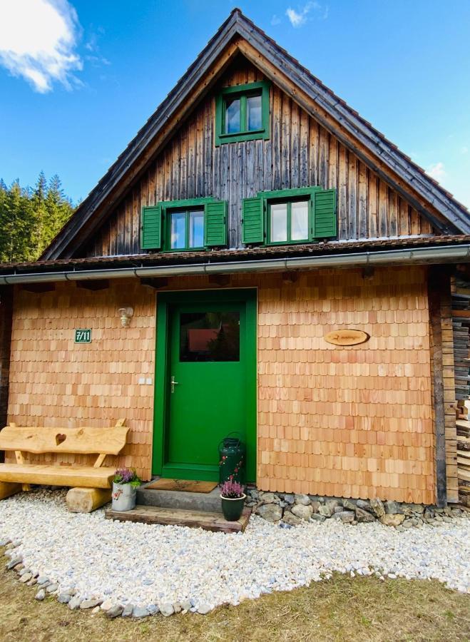 Zirbitz Huette Mit Sauna Und Kamin Holiday home *