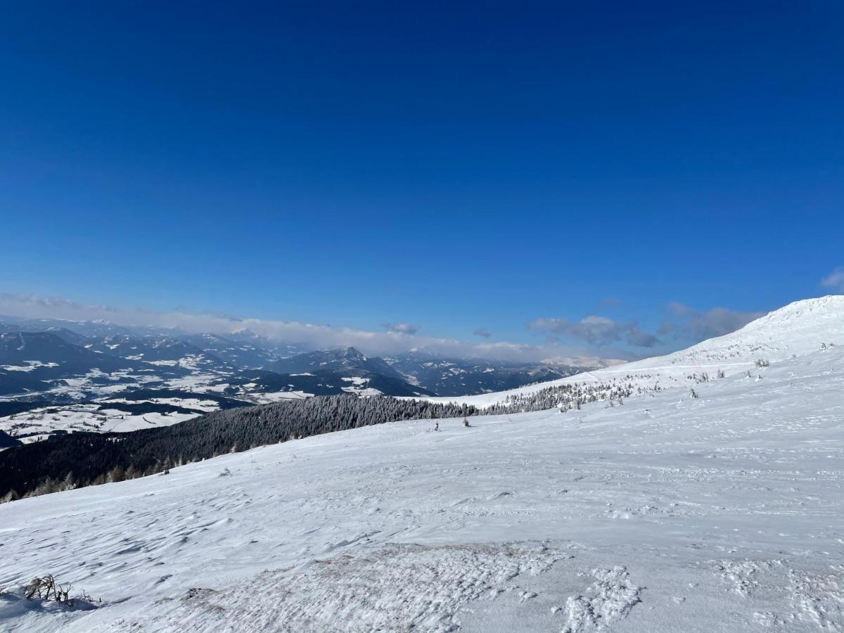 Zirbitz Hütte Mit Sauna Und Kamin Сasa de vacaciones *