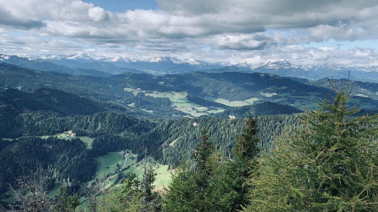 Zirbitz Hütte Mit Sauna Und Kamin Сasa de vacaciones *