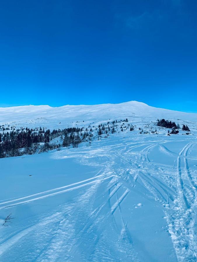 Zirbitz Hütte Mit Sauna Und Kamin * Sankt Lambrecht