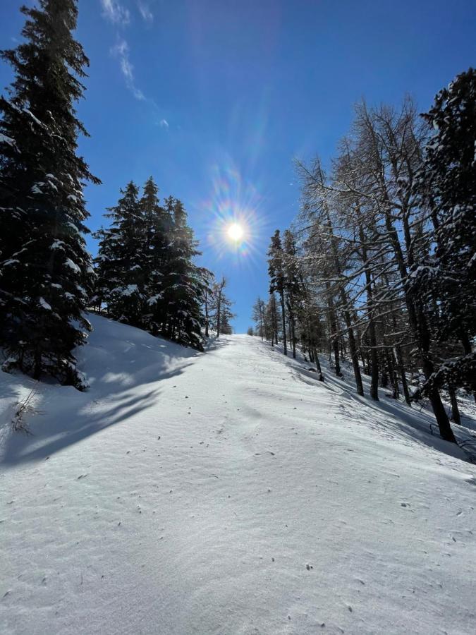Zirbitz Hütte Mit Sauna Und Kamin Сasa de vacaciones Sankt Lambrecht