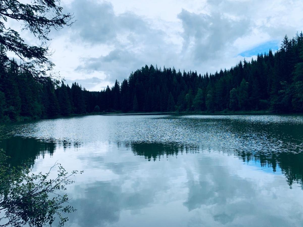 Zirbitz Hütte Mit Sauna Und Kamin Сasa de vacaciones