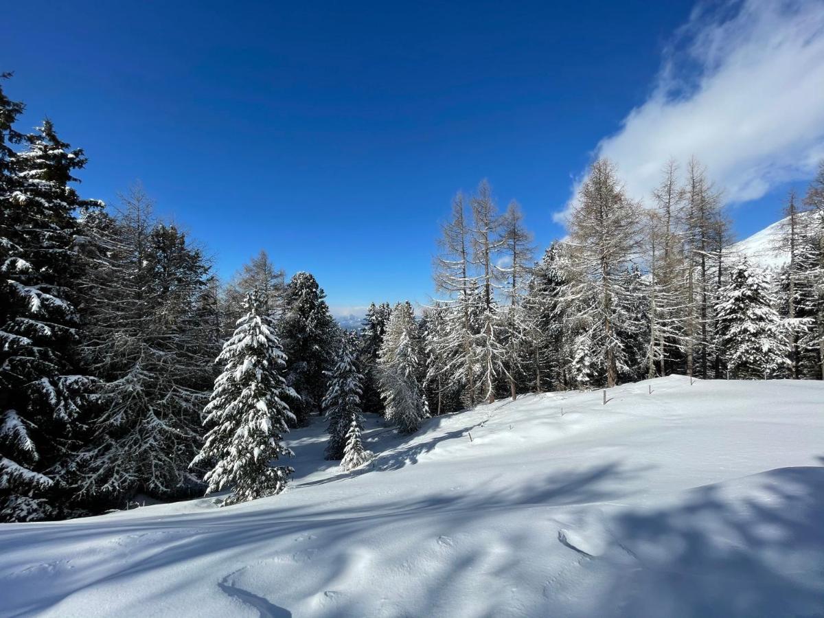 Zirbitz Hütte Mit Sauna Und Kamin Sankt Lambrecht
